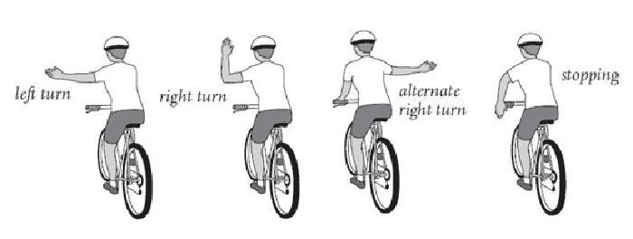 Bike Signaling Illustration
