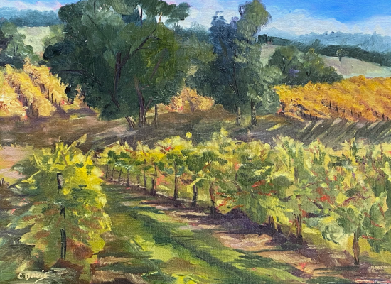 MBPAPA-Vineyard-by-Cyndy-Davis